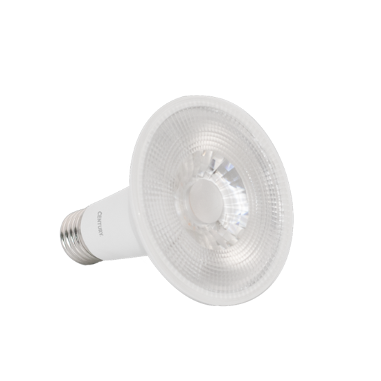 Immagine di LAMP. SPOT PAR 30 LED 10W 3000k 730LM